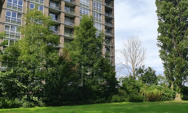 Appartement | 78m² | Lisdoddelaan | €1800,-