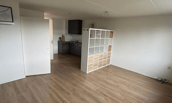 Huis | 40m² | van Ruysdaelweg | €640,-