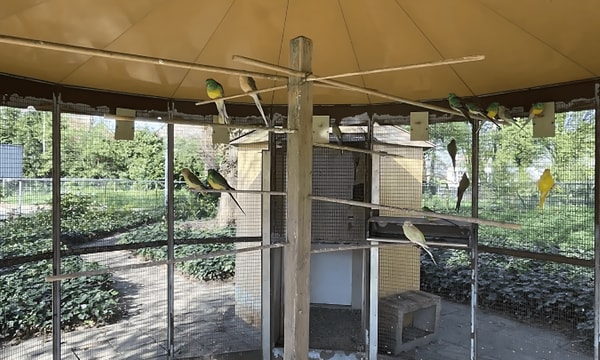Huis | 53m² | €835,-