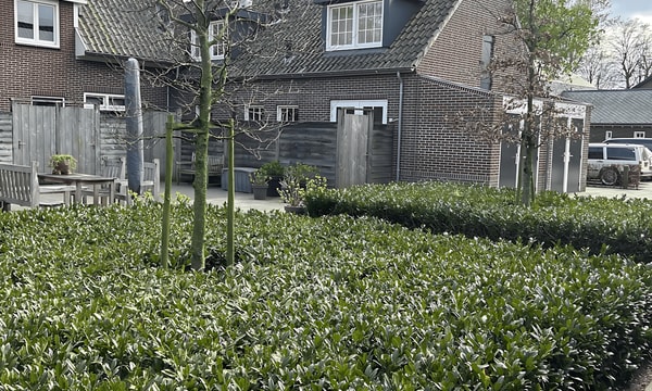 Huis | 156m² | Flinkert | €1650,-