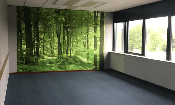 Kamer | 30m² | €300,-
