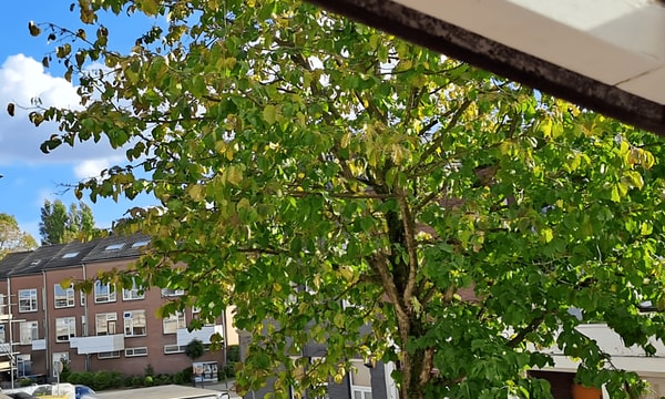 Kamer | 10m² | €585,-