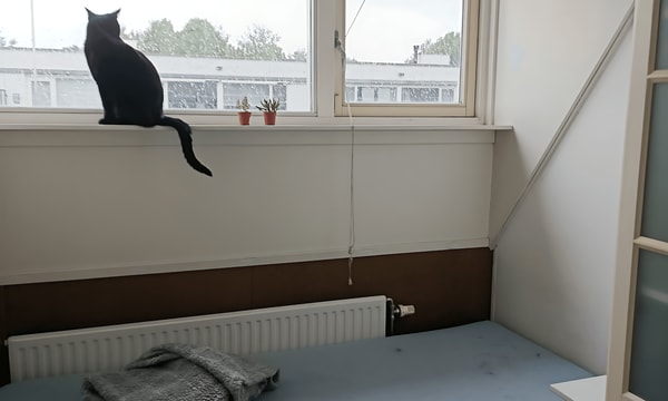 Huis | 200m² | €550,-