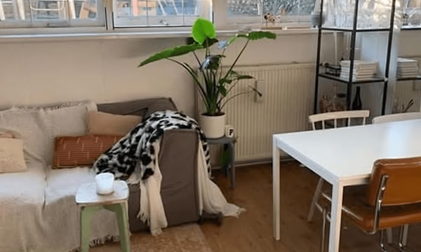 Kamer | 16m² | St. Annastraat | €470,-