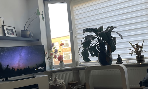 Kamer | 80m² | De Genestetlaan | €850,-