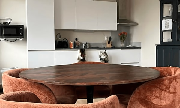 Huis | 60m² | €1200,-