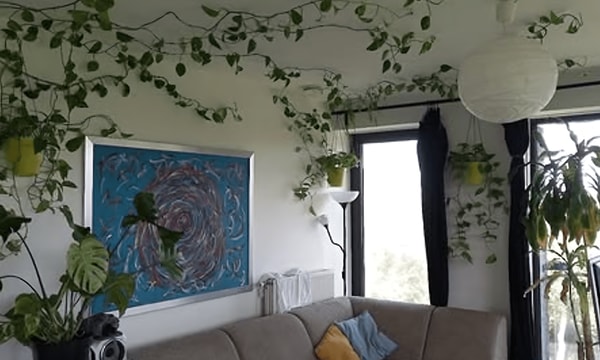 Huis | 105m² | €1075,-
