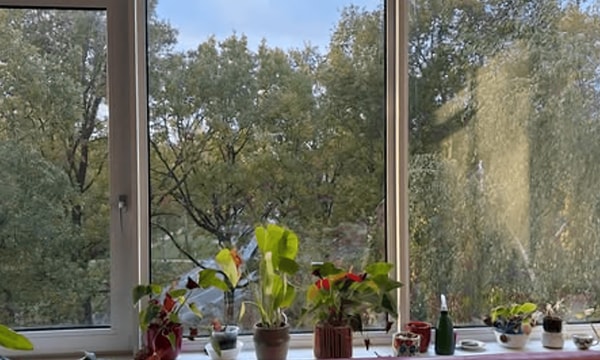 Kamer | m² | €750,-
