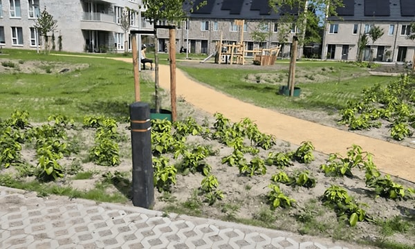 Kamer | 67m² | €980,-