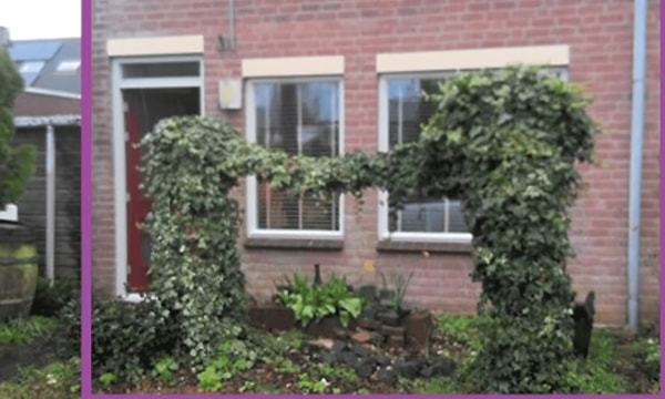 Kamer | 77m² | €760,-