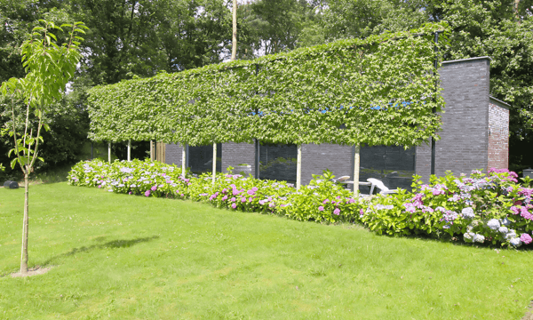 Appartement | 75m² | €1275,-
