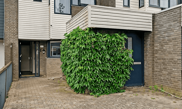 Kamer | 87m² | €1950,-