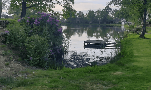 Huis | 60m² | €976,-