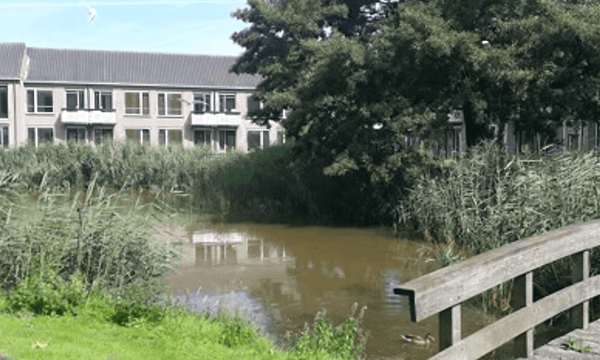 Appartement | 54m² | €654,-