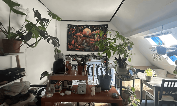 Kamer | 15m² | €310,-