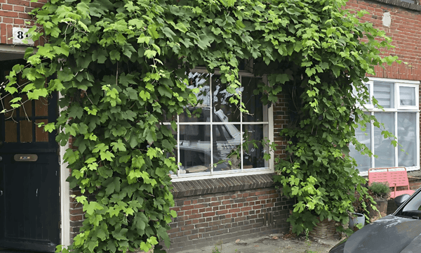 Kamer | 75m² | €550,-