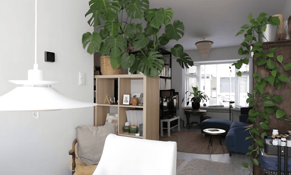 Huis | 86m² | €1850,-