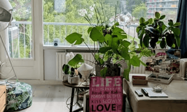 Kamer | m² onbekend | €850,-