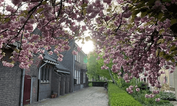 Appartement | 60m² | €1695,-