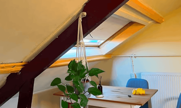 Kamer | 20m² | €355,-