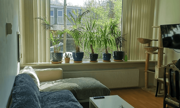 Kamer | 16m² | €500,-