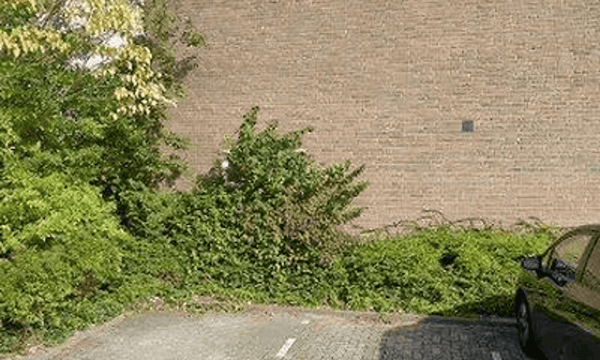 Huis | 133m² | €1450,-