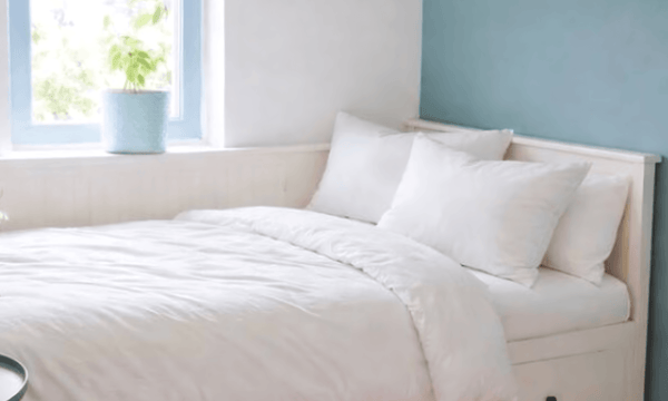 Kamer | 160m² | €1350,-