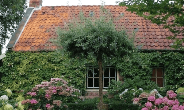 Appartement | 60m² | €1500,-