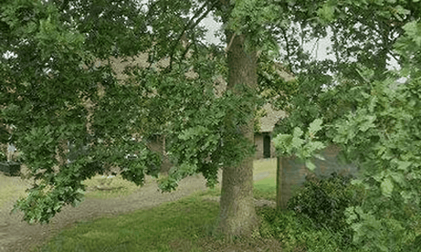 Huis | 125m² | €1000,-