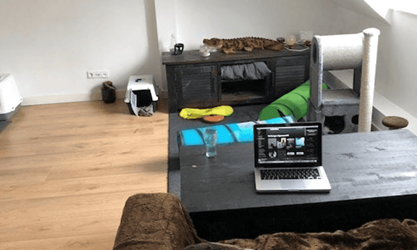 Studio | 30m² | €735,-