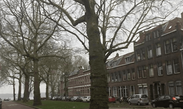 Kamer | 10m² | €550,-