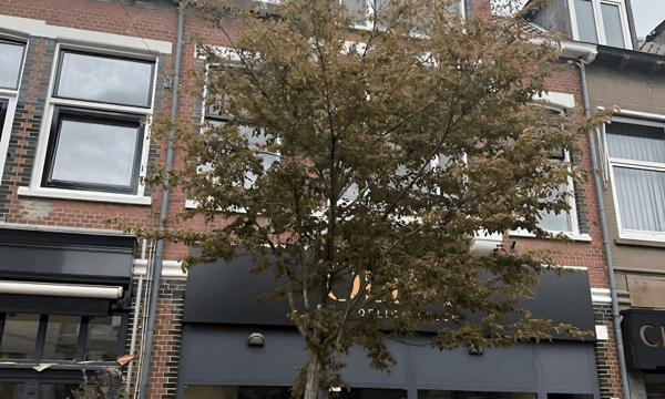 Appartement | 90m² | €2225,-