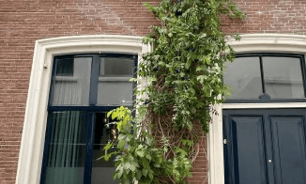Appartement | 75m² | €2250,-