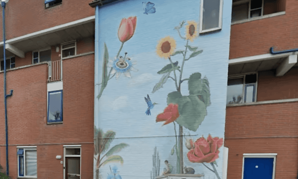 Huis | 67m² | €762,-