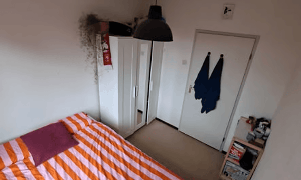 Kamer | 16m² | €518,-