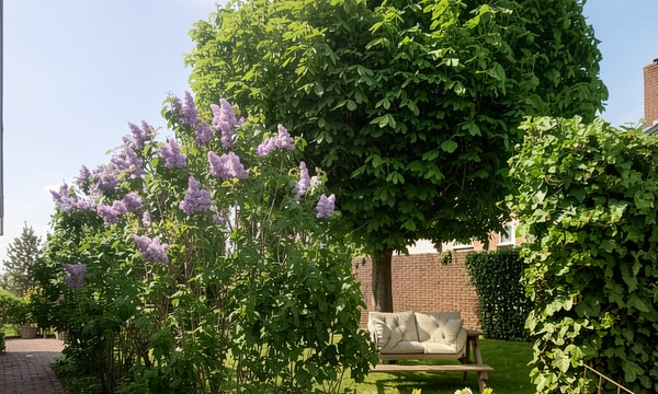 Studio | 27m² | €1312,-