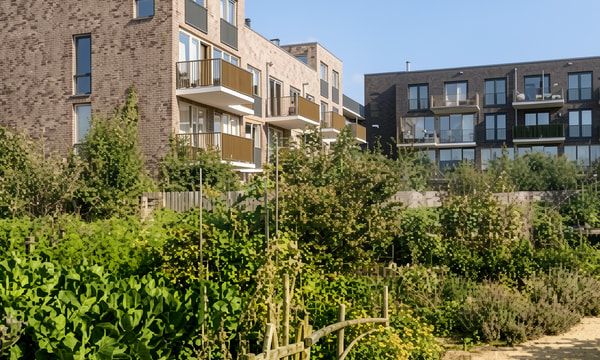 Kamer | 60m² | €950,-