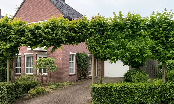 Huis | m² onbekend | €2750,-