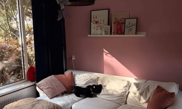 Kamer | m² onbekend | €300,-