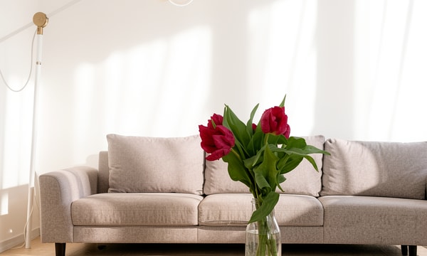 Anti Kraak | 75m² | €238,-