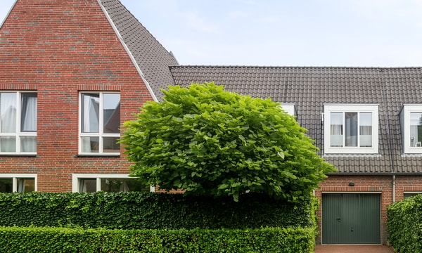 Kamer | 146m² | €2650,-