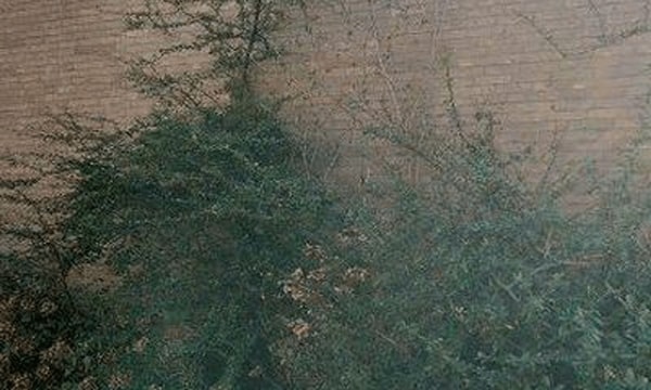 Huis | 94m² | €1485,-