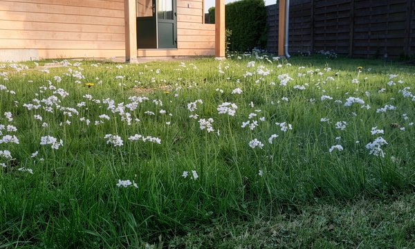 Huis | m² onbekend | €2301,-