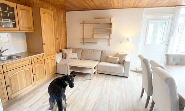 Kamer | 35m² | €450,-