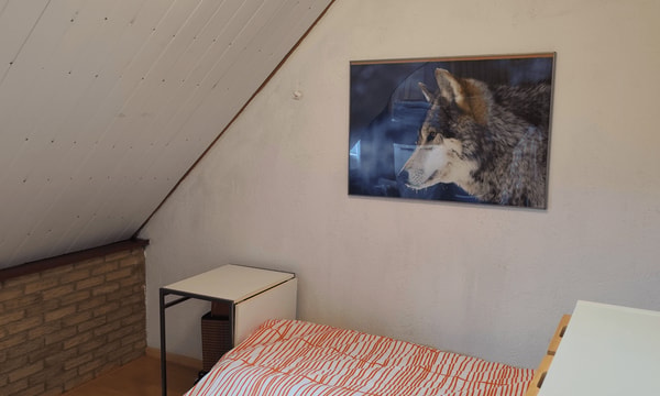Kamer | 14m² | €750,-