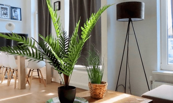 Studio | 21m² | €885,-