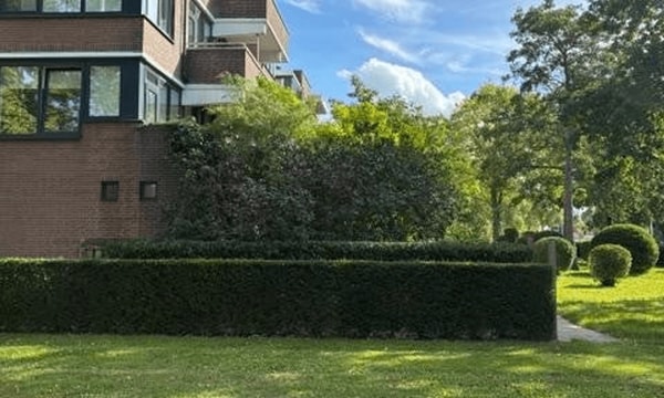 Appartement | 65m² | €1200,-