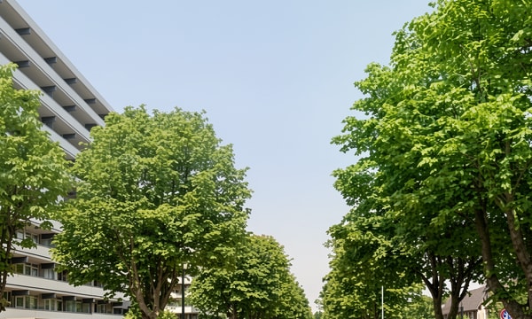 Appartement | 120m² | €1600,-