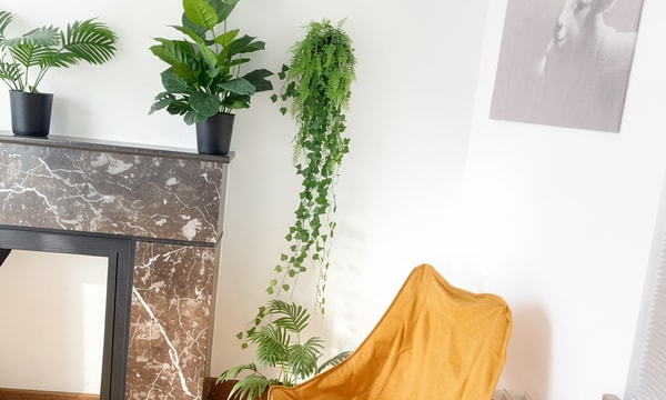 Kamer | 18m² | €355,-