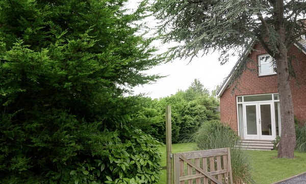 Kamer | 20m² | €1000,-
